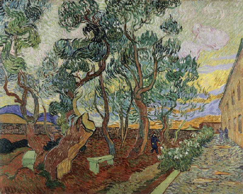 Vincent Van Gogh The Garden of the Asylum in St.Remy China oil painting art